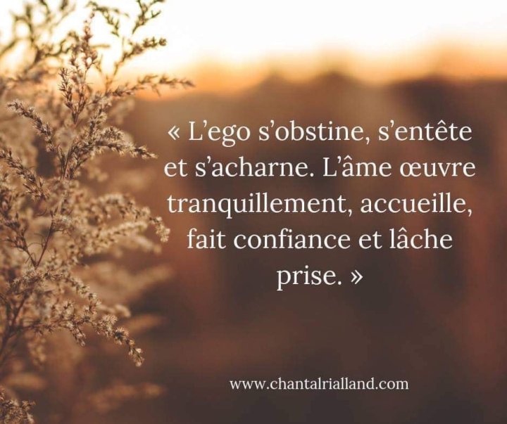 Pensée du jour- ego VS&nbsp;âme