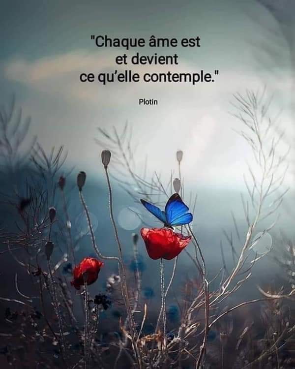 Pensée du jour-&nbsp;contemplation