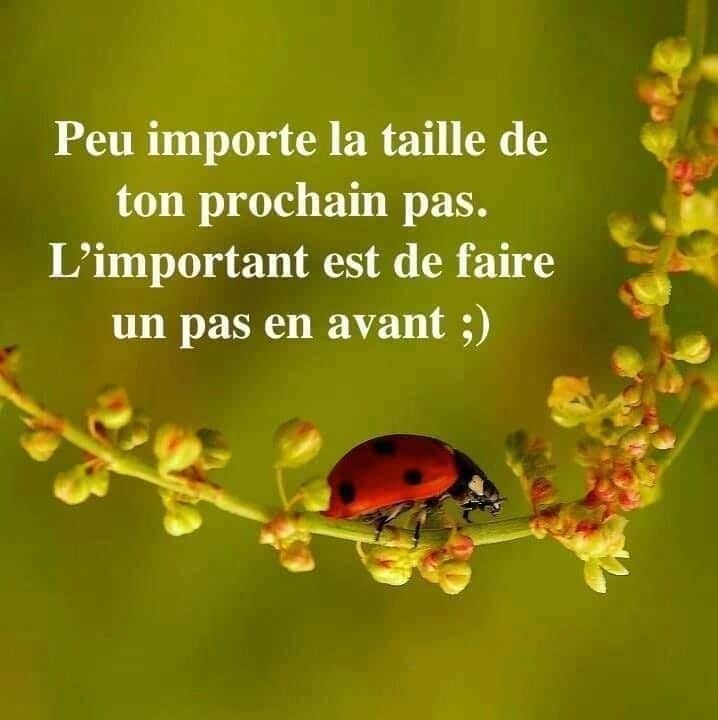 Pensée du jour- vient ce&nbsp;moment